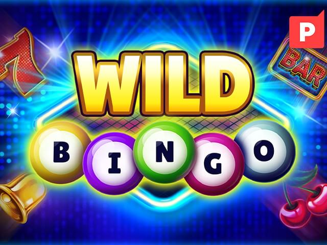 kk45 bet Bingo Selvagem